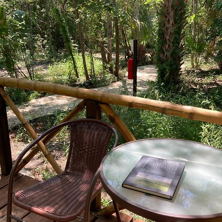 Selva Teenek Eco-Park シウダー・バージェス エクステリア 写真
