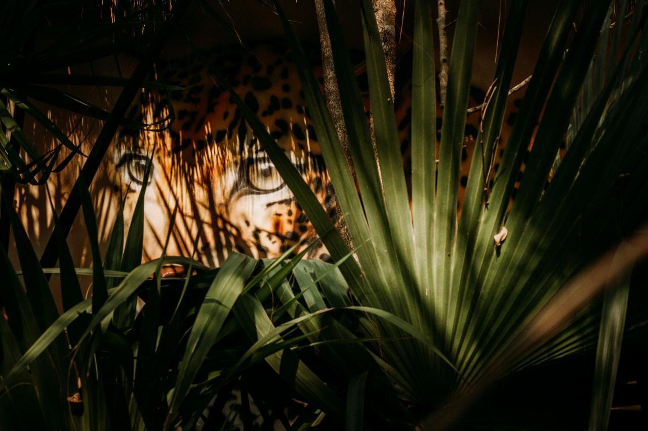 Selva Teenek Eco-Park シウダー・バージェス エクステリア 写真