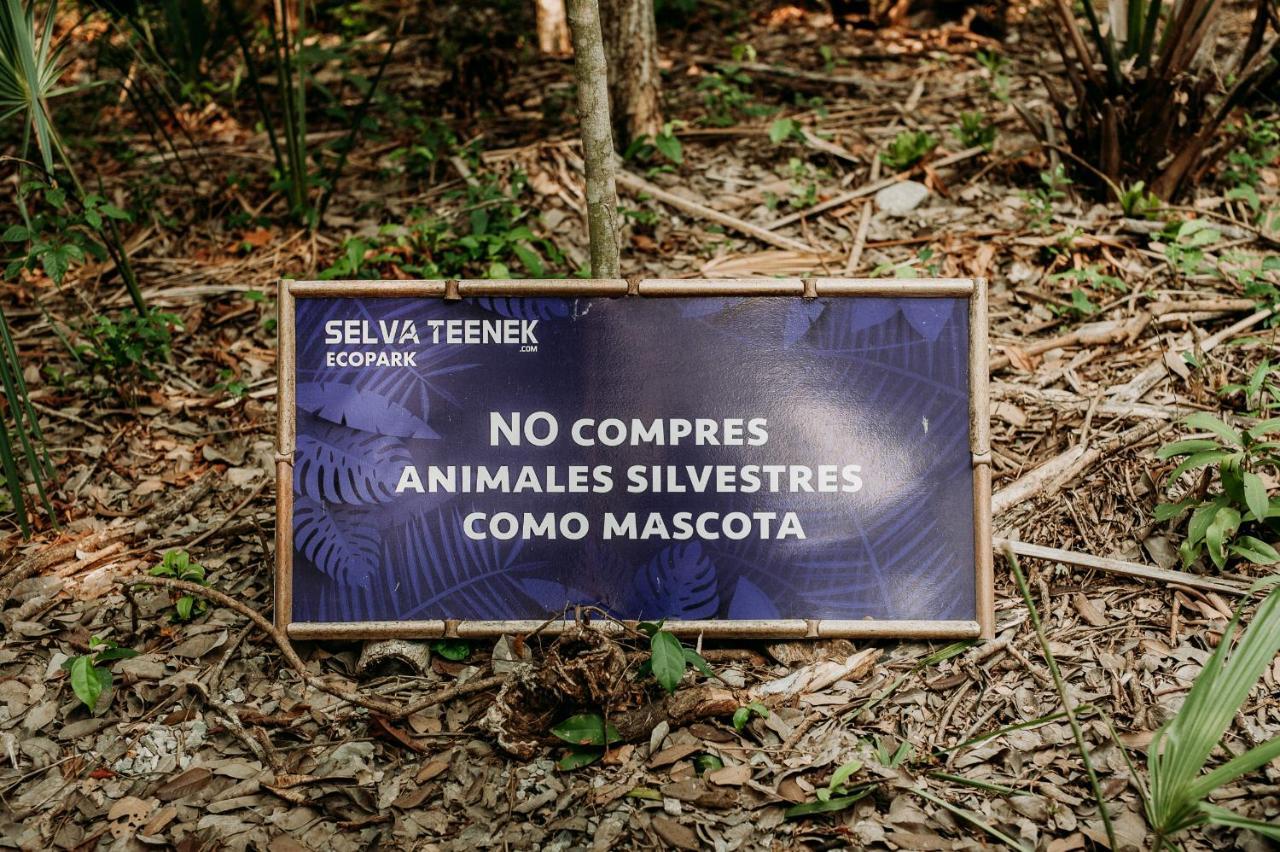Selva Teenek Eco-Park シウダー・バージェス エクステリア 写真
