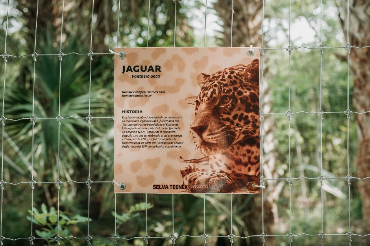 Selva Teenek Eco-Park シウダー・バージェス エクステリア 写真