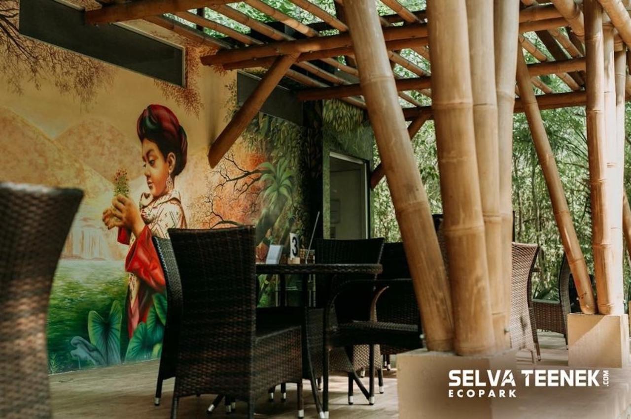 Selva Teenek Eco-Park シウダー・バージェス エクステリア 写真