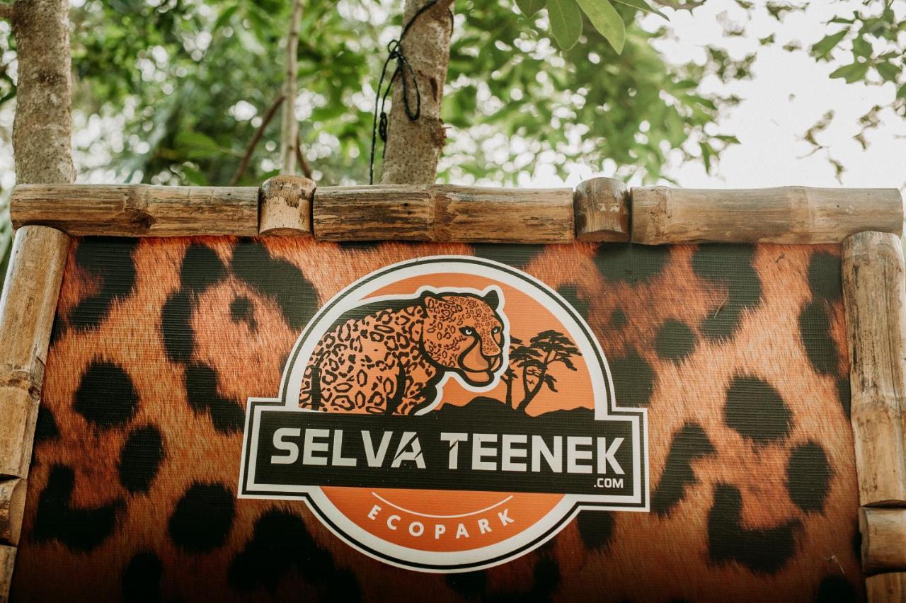 Selva Teenek Eco-Park シウダー・バージェス エクステリア 写真