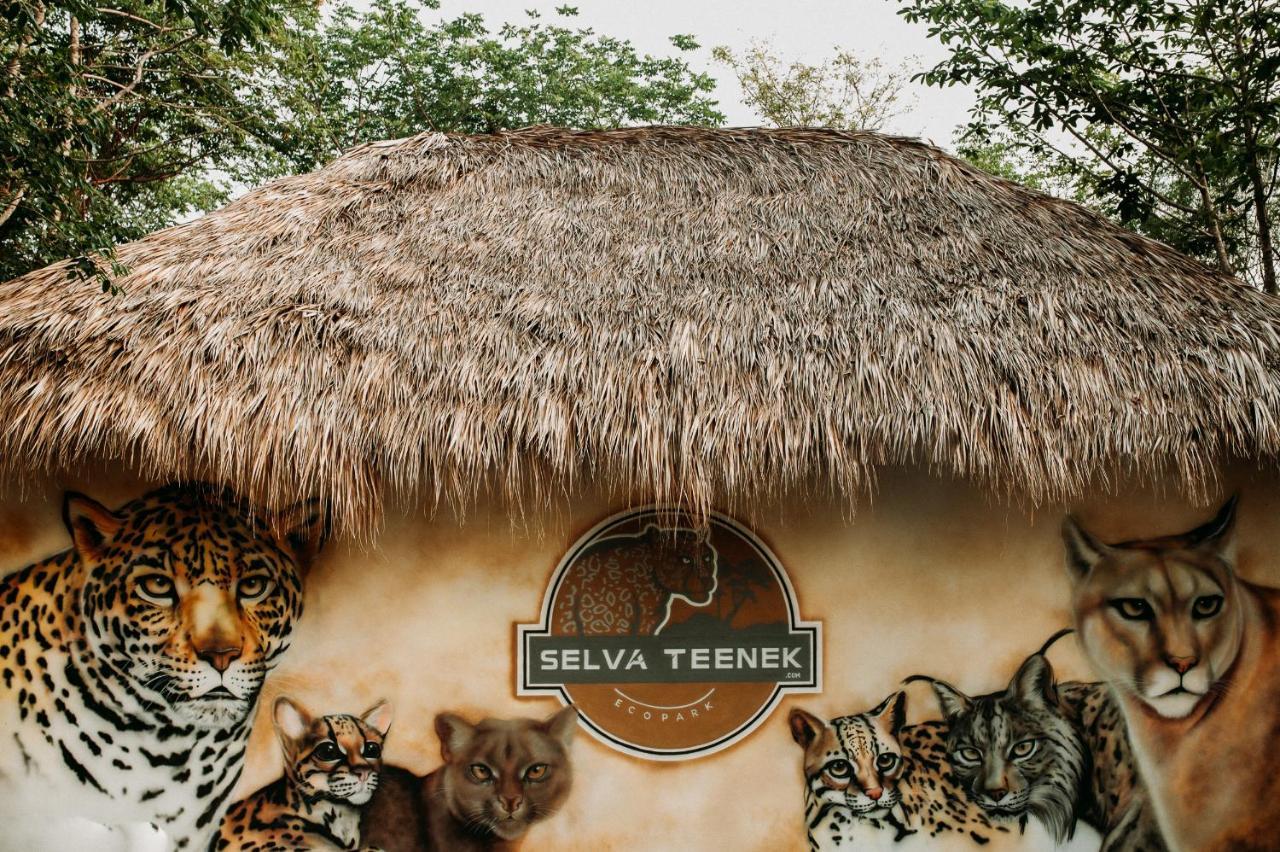 Selva Teenek Eco-Park シウダー・バージェス エクステリア 写真